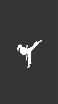 the silhouette of a person doing karate