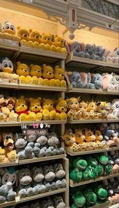 the shelves are filled with many different stuffed animals and other plush toy items, including winnie the pooh