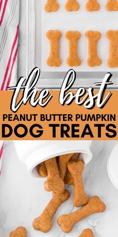 the best peanut butter pumpkin dog treats