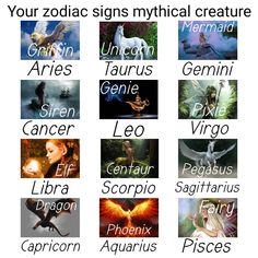 zodiac signs with the names of them and their meaningss in english, spanish, and french