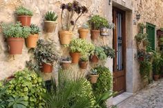 many potted plants on the side of a building