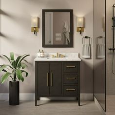 a bathroom with a sink and mirror next to a plant in a black vase on the floor