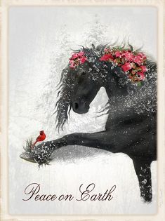 a black horse with flowers on its head and the words peace on earth above it