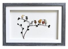 three birds are sitting on a branch with black berries in the center and white background