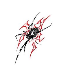 a drawing of a spider with red and black lines on it's back side