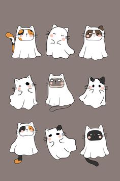 a bunch of cats that are all different shapes and sizes, including one cat with an orange nose