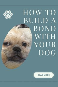 the front cover of how to build a bond with your dog