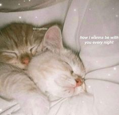 Love Edits, Good Night Cat, Wholesome Pictures, Guy Fashion, Friends Hair, Pinterest Memes, Life Funny, Cute Messages