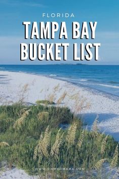 the tampa bay bucket list is shown in front of an ocean and sand beach with sea oats