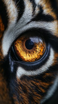 the eye of a tiger is shown in this close up photo with orange and black stripes