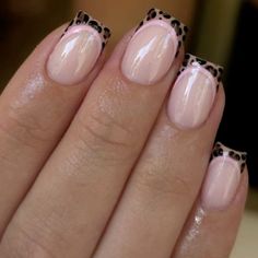 Mail Inspo Short Acrylic, Cute Nail Designs Square Shape, Short Acrylic Nails Leopard Print, Basic Short Square Nails, Leopard And Pink Nails, Gel Nails 2024 Trends, Square Cheetah Nails, Mail Inspo Short, Gel Nail Designs Simple