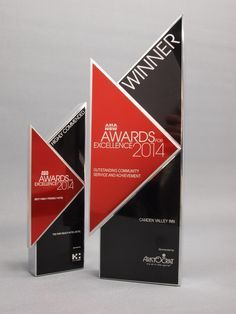 two awards for excellence and achievement are shown in front of a gray background with red accents