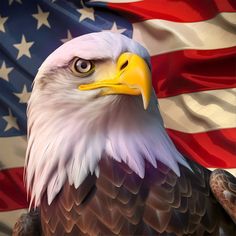 an eagle with the american flag in the background