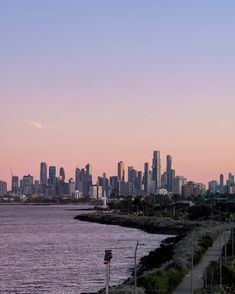 a city skyline is seen from across the water at sunset or dawn, with palm trees in foreground