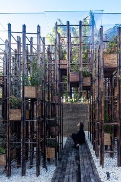 a person sitting on a wooden platform surrounded by plants