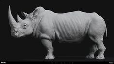 a rhinoceros is shown in this black and white photo