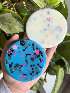 two handmade soaps in front of a potted plant