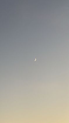 the moon is visible in the sky above some trees