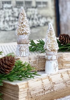 some pine cones are sitting on top of a book