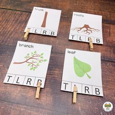 three pictures of different parts of a tree on clothes pegs with the words, i am