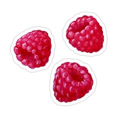 three raspberries stickers on a white background