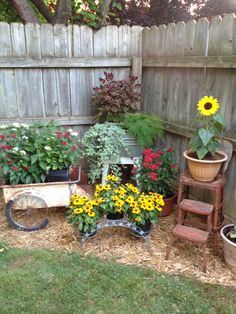 the garden is full of flowers and potted plants, including sunflowers in pots