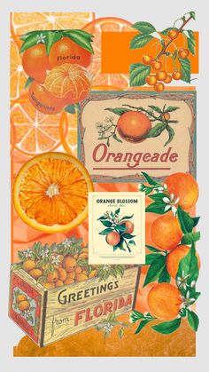 an orange advertisement is featured in this illustration