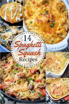 large collage photo of spaghetti squash recipes