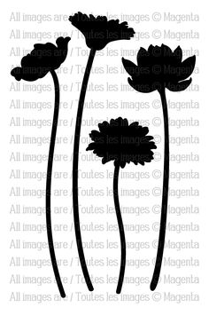 three silhouettes of flowers in black and white, with the words all images below