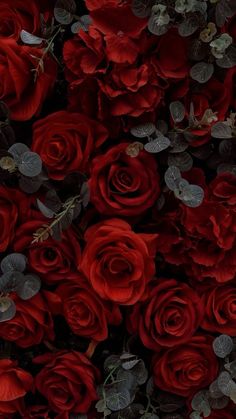 many red roses with leaves on them are arranged in the shape of a wallpaper