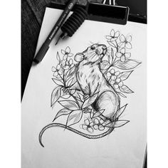 a black and white drawing of a mouse on paper