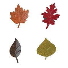 four different colored leaves on a white background