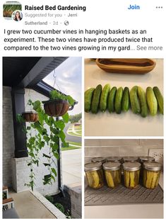 some pickles are hanging from the side of a building and two jars filled with them