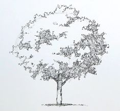 a drawing of a tree with birds flying around it