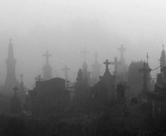 graveyards in the fog with crosses on them