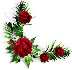 three red roses and white flowers are arranged in the shape of the letter s on a white background