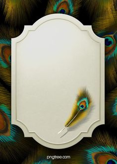 an ornate frame with peacock feathers surrounding it