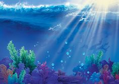 an underwater scene with blue water and corals