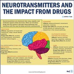 Microblog: 95% of Serotonin Is in the Gut - Nutrition with Judy Natural Serotonin, Serotonin Boosters, Group Therapy Activities, Thyroid Function, Preventative Health, Thyroid Health, Group Therapy, Medical Knowledge, Natural Therapy