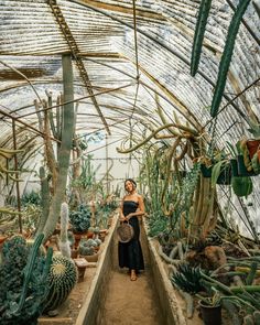 a woman standing in a greenhouse with lots of cacti and succulents