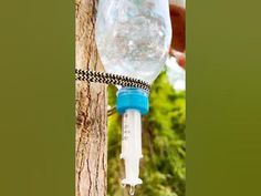 a plastic water bottle hanging from a tree with a spigot attached to it