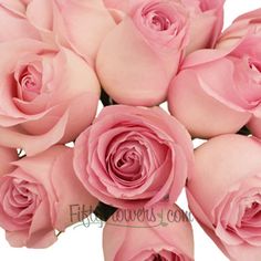 a bouquet of pink roses on a white background