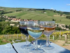 three glasses of wine sitting on top of a wooden table in front of a vineyard