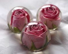 three glass vases with pink roses in them on a white sheeted tablecloth