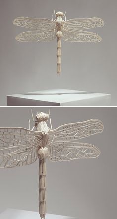 two photographs of the same dragonfly, one in white and one in beige