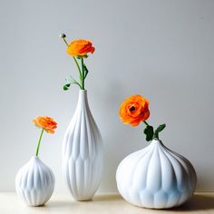 three white vases with orange flowers in them