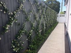 a fence with flowers growing on it next to a sidewalk in front of a house