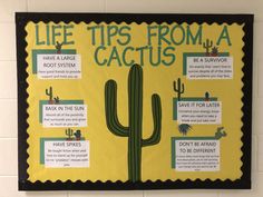 a bulletin board with cactuses on it that says life tips from a cactus