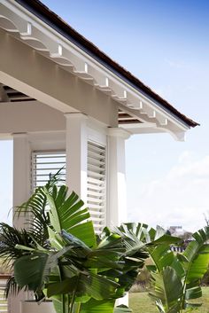 a house with white shutters and green plants