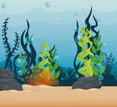 an underwater scene with rocks and plants